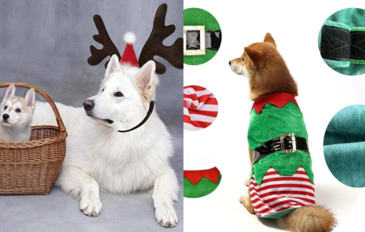 Dog christmas costume fashion