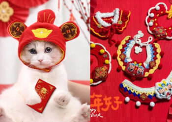 Pets CNY outfit fashion