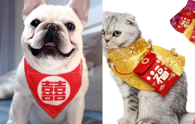 Pets CNY outfit fashion