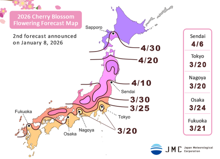 When Will Cherry Blossoms Bloom in Japan 2026? Essential Sakura Tips for Singaporean Travelers