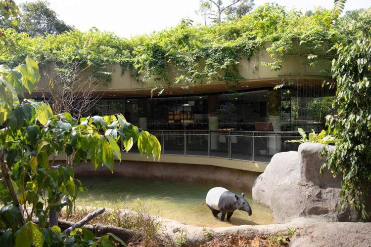 18 Exciting Adventures for an Unforgettable School Holiday in Singapore