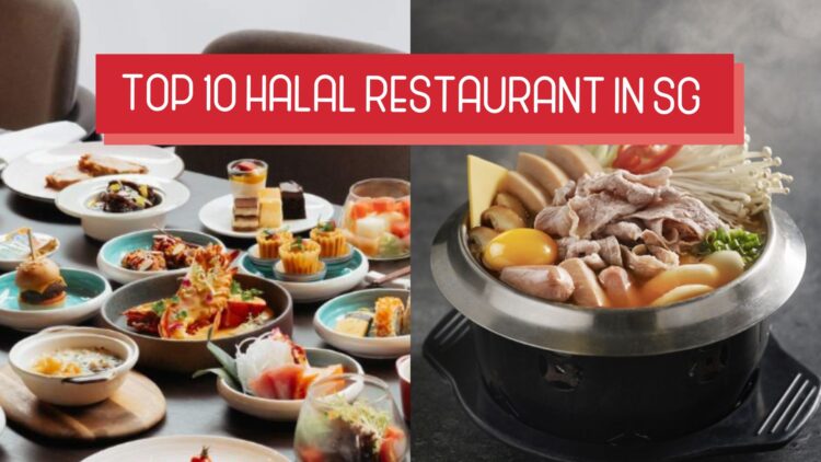 Top 10 Halal Restaurants in Singapore for a Delicious Dining Experience