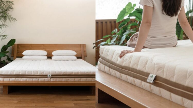 The 10 Best Mattresses in Singapore (2025 Edition)