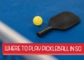 Where to Play Pickleball in Singapore: Top Venues for Every Level