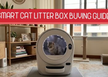 Smart Cat Litter Box Singapore: The Clean Upgrade Every Cat Parent Wants