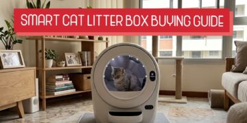 Smart Cat Litter Box Singapore: The Clean Upgrade Every Cat Parent Wants