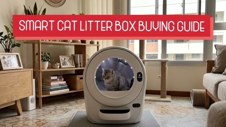 Smart Cat Litter Box Singapore: The Clean Upgrade Every Cat Parent Wants